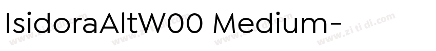 IsidoraAltW00 Medium字体转换